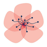 American Blossom Linens Cash Back: Best Rates & Offers logo