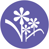 From You Flowers Cash Back: Best Rates & Offers logo