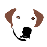 Hugo Coffee Roasters Cash Back: Best Rates & Offers logo