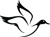 White Duck Outdoors Cash Back: Best Rates & Offers logo